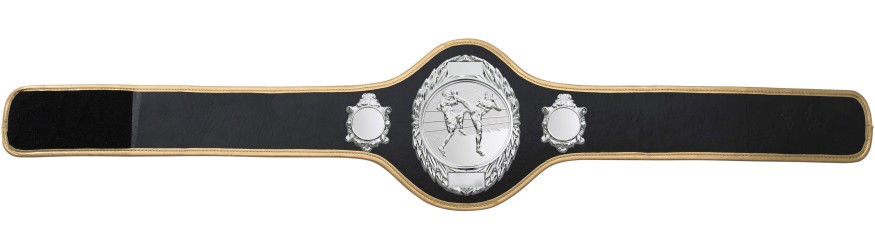 THAI BOXING CHAMPIONSHIP BELT-PRO286/S/TBOS-10+ COLOURS